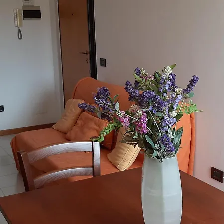 Nyaraló Viola *